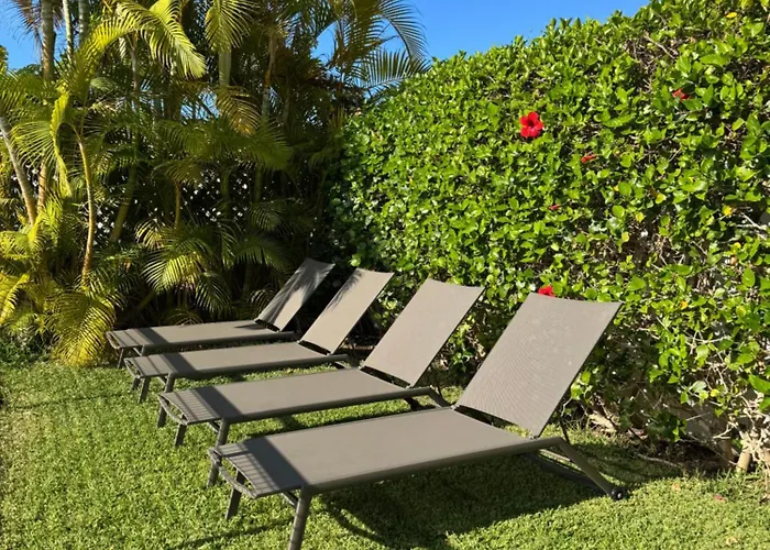 Oasis Ancla 4