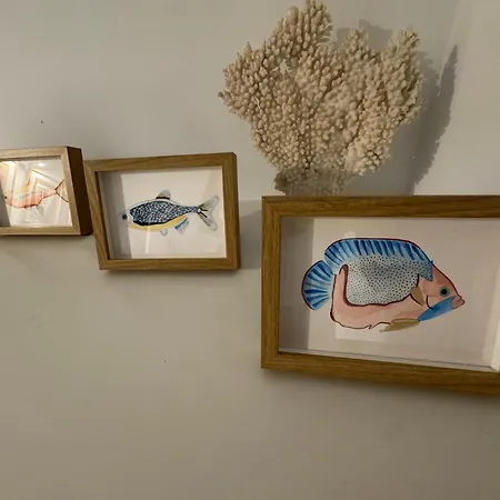 Oasis Ancla 4 Lejlighed Pasito Blanco